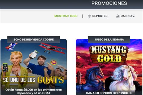 Reseña Casimba Casino (2024): Bono sin Depósito + Promociones.